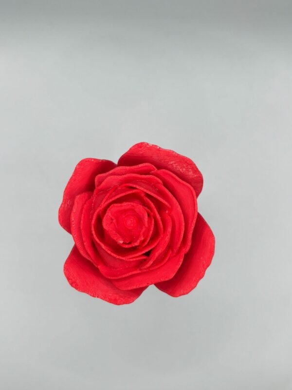 Rosa - Imagen 2
