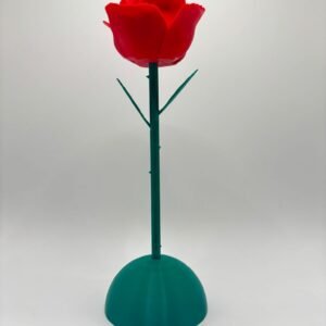 Rosa