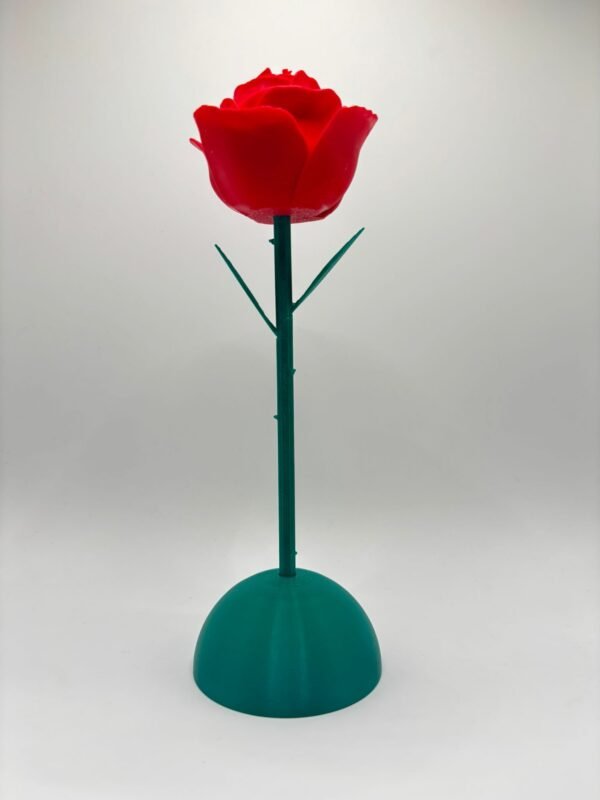 Rosa