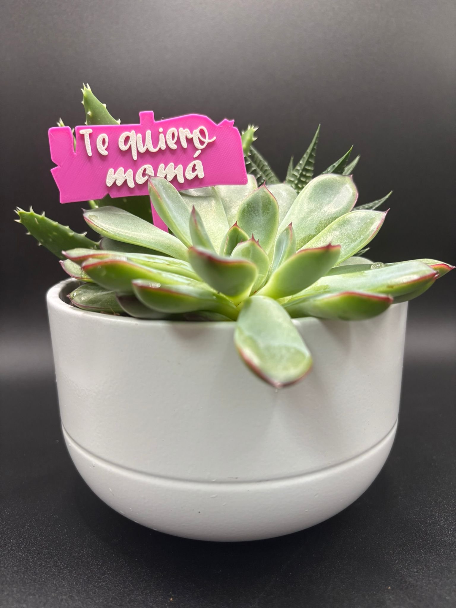 Pincho Te Quiero Mamá